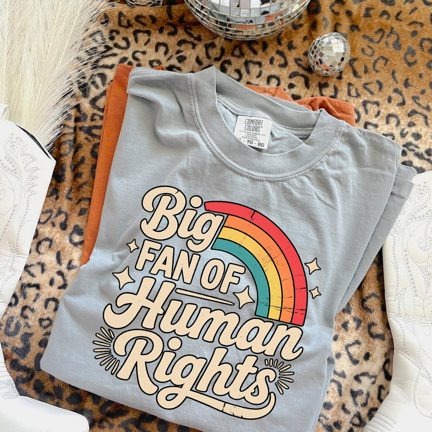 Big Fan of Human Rights Rainbow Retro Tee