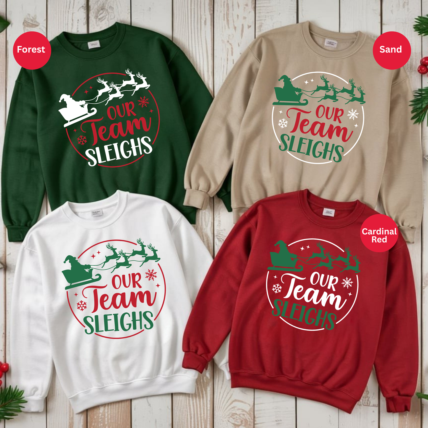 Our Team Sleighs