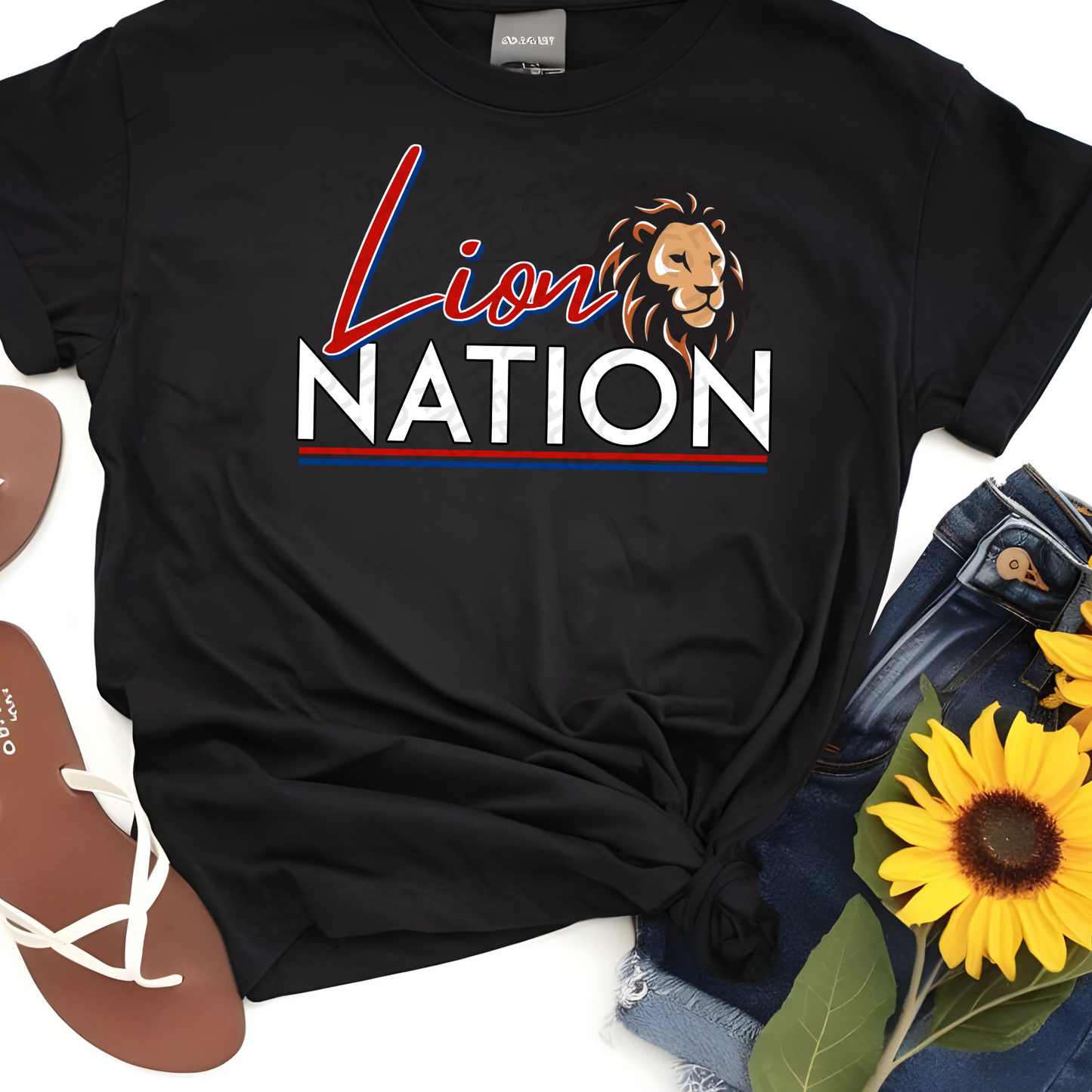 Lion Nation