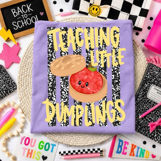 Teaching little Dumplings T-Shirt